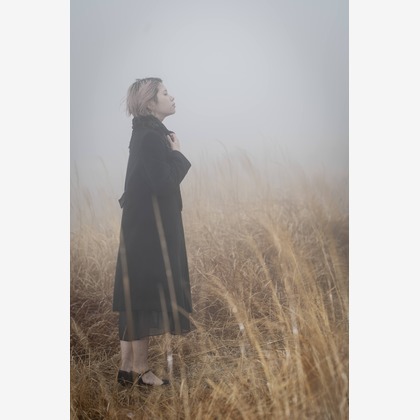 ならもとかずやが撮影した「:albumName」の写真