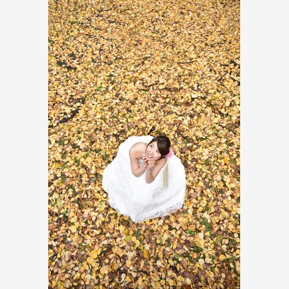 中村写真事務所が撮影したウェディングや家族、ビジネスの写真