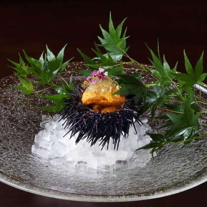 森安　照が撮影したウェディングや家族、ビジネスの写真