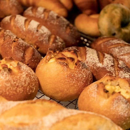 光画堂スタジオが撮影したウェディングや家族、ビジネスの写真