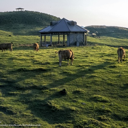 Katsuhiko Suzukiが撮影した「:albumName」の写真