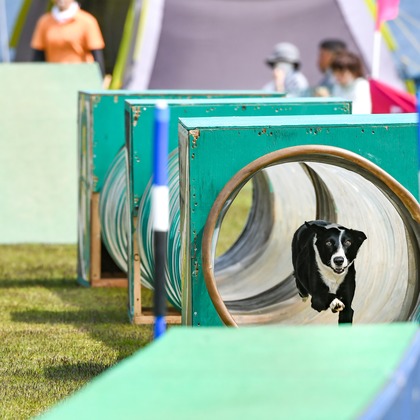 スタジオファンタスが撮影した「:albumName」の写真