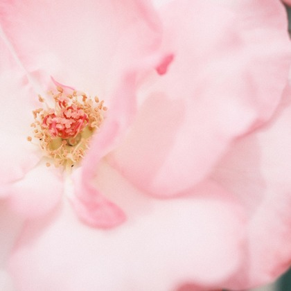 岡村公平が撮影した商品/物撮りの写真