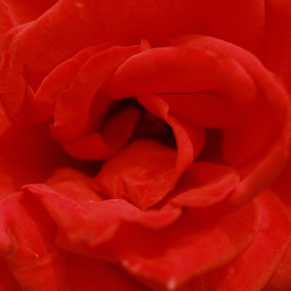 岡村公平が撮影した商品/物撮りの写真