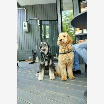 TSD officeが撮影した「:albumName」の写真