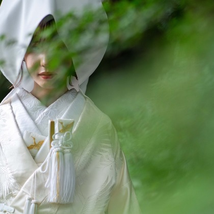 Photo of :albumName taken by THE CLIPS