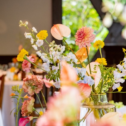 スタジオファンタスが撮影した「:albumName」の写真