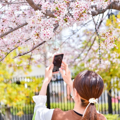 Bus Driver Photo NAKAMOTOが撮影した「:albumName」の写真