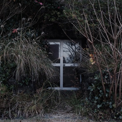 根本駿介が撮影した「:albumName」の写真