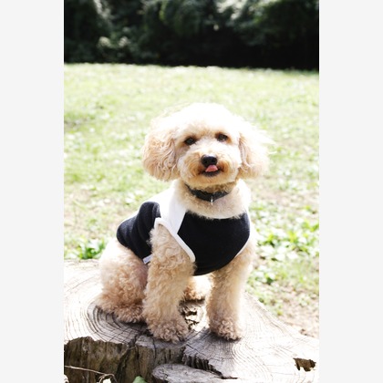 森安　照が撮影した「:albumName」の写真