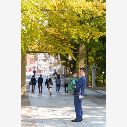 山田由佳が撮影した「:albumName」の写真