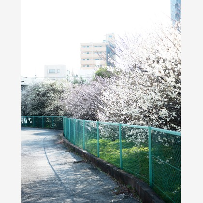 内山慎也が撮影した商品/物撮りの写真