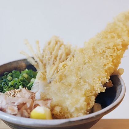 柴　有司が撮影した「:albumName」の写真