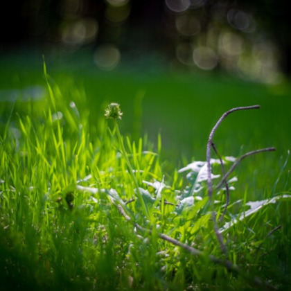 手塚隆弘が撮影したイベント/スナップ撮影の写真