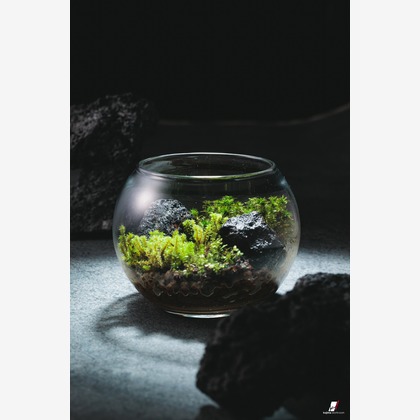 小島　勇次が撮影した「:albumName」の写真