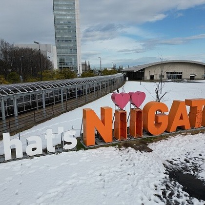 スタジオ　アクティビストが撮影したその他の写真