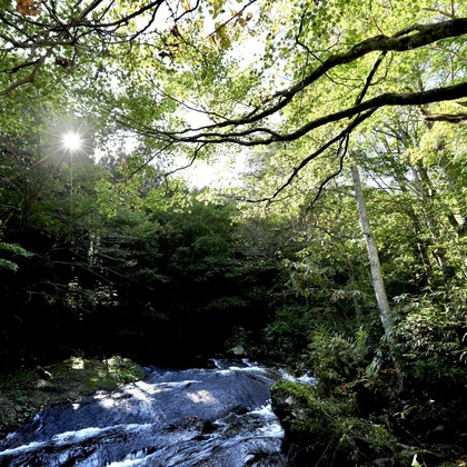 TATEZOUが撮影したイベント/スナップ撮影の写真