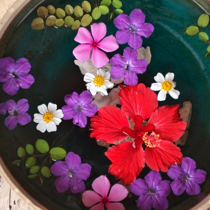 難波卓美が撮影したイベント/スナップ撮影の写真