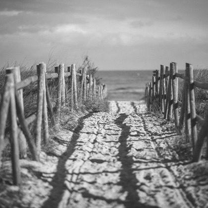 Jacek Cichopekが撮影した「:albumName」の写真