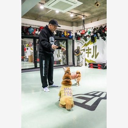 吉田佳央が撮影した「DOG SHOOTING」の写真