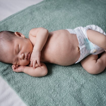 植村由理が出張撮影した多年生植物, 花粉, つま先などが写った「マリちゃん」の家族写真