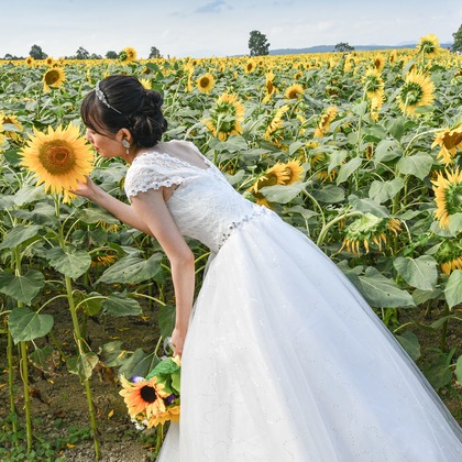 Photo of :albumName taken by DESIGN STUDIO EE