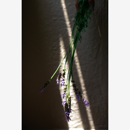 𠮷岡銀河が撮影した人物撮影の写真