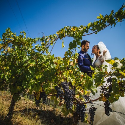 Samantha Penniniが撮影したウェディングや家族、ビジネスの写真