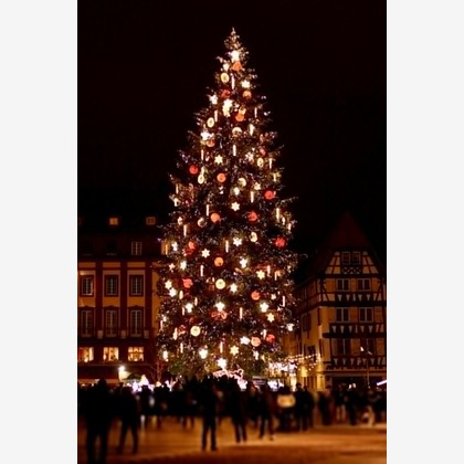 radsafariが撮影したイベント/スナップ撮影の写真