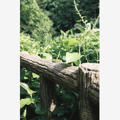 榎戸亮太が撮影したその他の写真