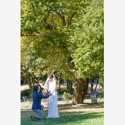 ライトハウスフォトが撮影したウェディングや家族、ビジネスの写真