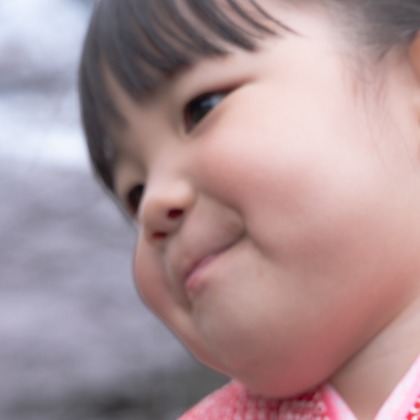 ミヤタカズコが撮影した「:albumName」の写真