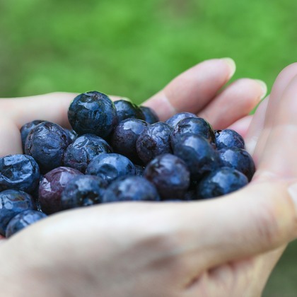 海住写真事務所が撮影した料理撮影の写真