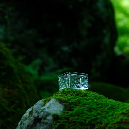 maruが撮影した「:albumName」の写真