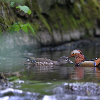 山口奈緒が撮影した「:albumName」の写真