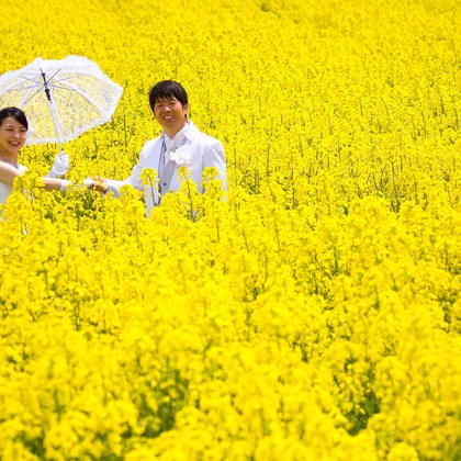 B'point photoが撮影した「フォトギャラリー」の写真