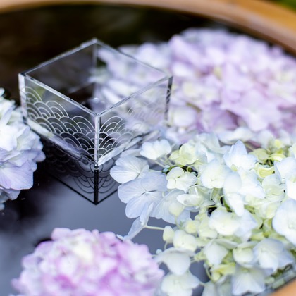 maruが撮影した「:albumName」の写真