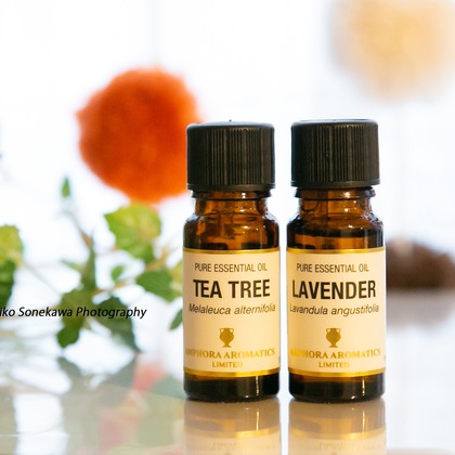 ソネカワアキコが撮影したウェディングや家族、ビジネスの写真