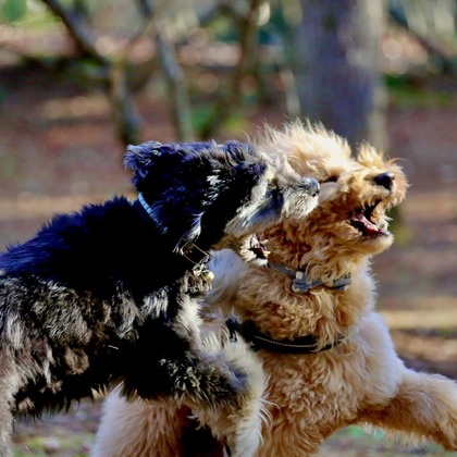 TSD officeが撮影した「:albumName」の写真