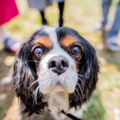 来田 篤典が撮影したウェディングや家族、ビジネスの写真