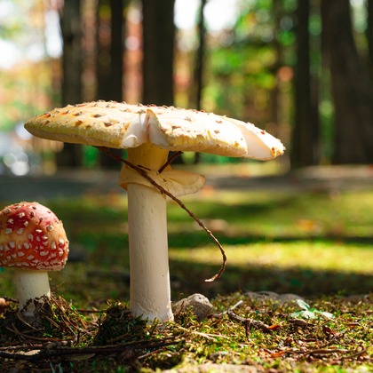 高木勇斗が撮影したその他の写真