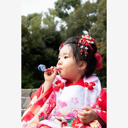 スマイルグローバルフォトが撮影した「:albumName」の写真