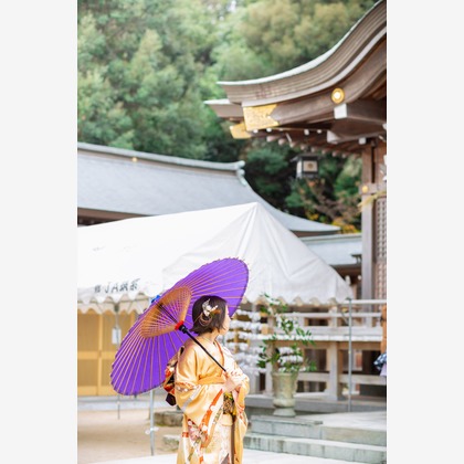 多田正子が撮影した「:albumName」の写真