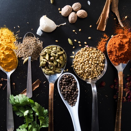 辻本俊輔が撮影した「:albumName」の写真