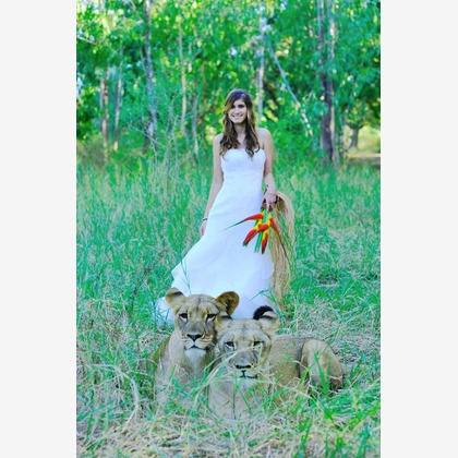 今林 浩一が撮影した「:albumName」の写真