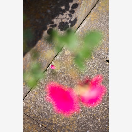 内山慎也が撮影した商品/物撮りの写真