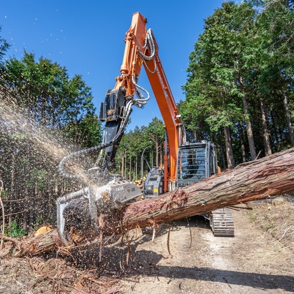 山口　竜が撮影したウェディングや家族、ビジネスの写真