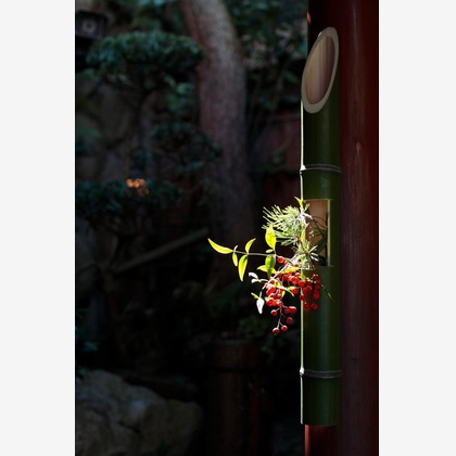 蛭子真写真事務所が撮影したウェディングや家族、ビジネスの写真