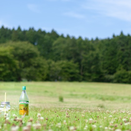 株式会社クリフが撮影した「:albumName」の写真