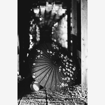 風の彩水の音が撮影したエンゲージメントフォトの写真